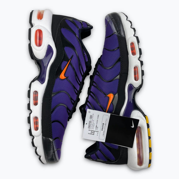 Nike Air Max Plus (UK9.5 / EU44.5)