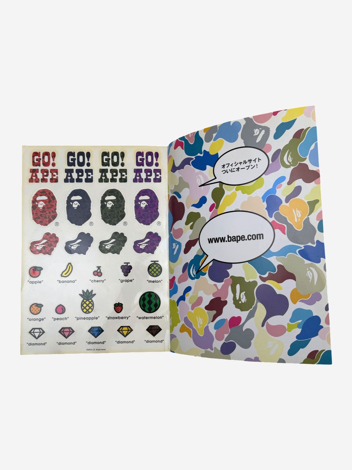 BAPE Autumm/Winter 2005 Magazine